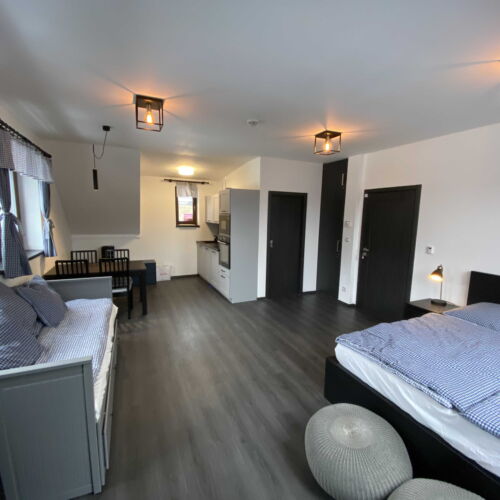 Studio Apartman s manželskou postelí s 1 ložnicí s výhledem na hory (s možností přistýlky)