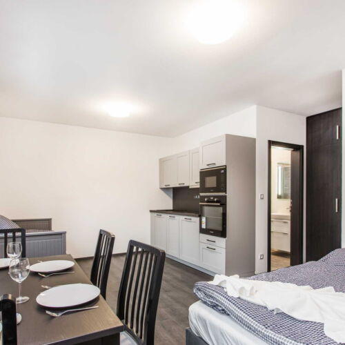 Studio Apartman s manželskou postelí s 1 ložnicí s výhledem na hory (s možností přistýlky)