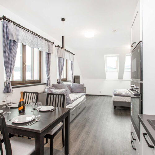 Studio Apartman s manželskou postelí s 1 ložnicí s výhledem na hory (s možností přistýlky)