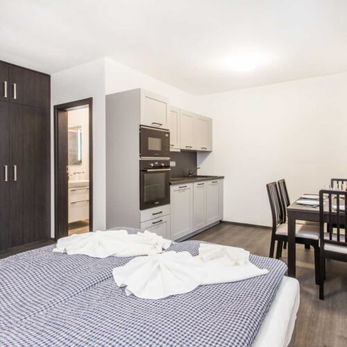 Apartman s vlastní kuchyňkou s manželskou postelí s 1 ložnicí s výhledem na hory (s možností přistýlky)