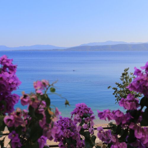 Apartament 6-osobowy z klimatyzacją z widokiem na morze z 1 pomieszczeniem sypialnianym A-6653-c