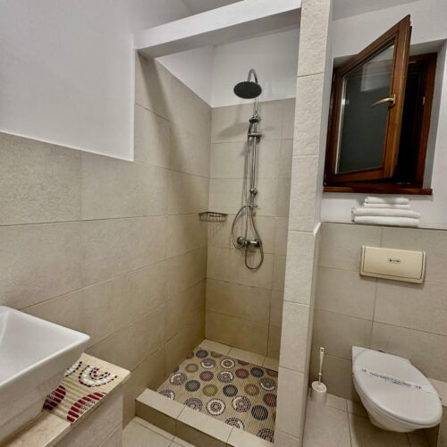 Camera dubla deluxe la mansardă