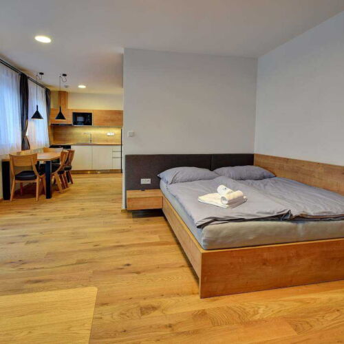 1-Room Apartment for 2 Persons with Shower (extra beds available)