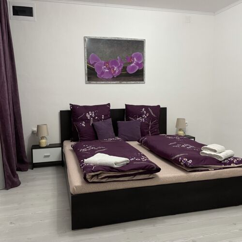 Apartament deluxe romantică cu 1 camera pentru 2 pers. (se poate solicita pat suplimentar)