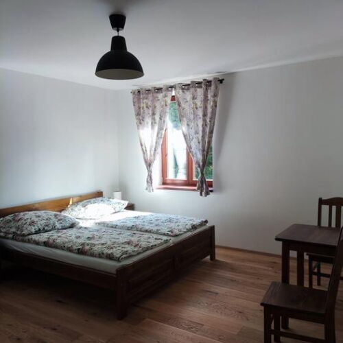 Camera twin cu duș (se poate solicita pat suplimentar)