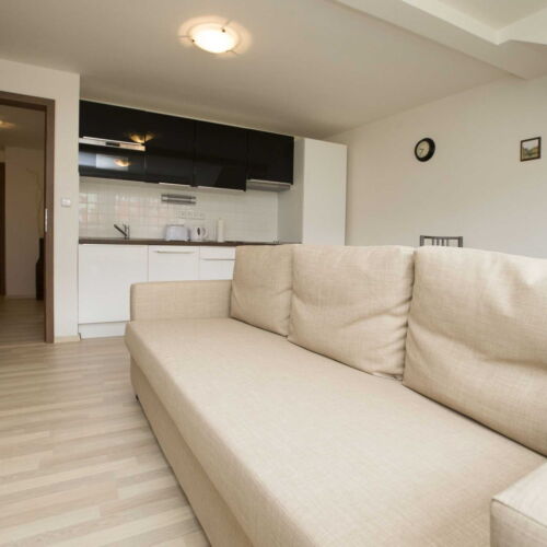 Superior Apartman s koupelnou s manželskou postelí s 1 ložnicí