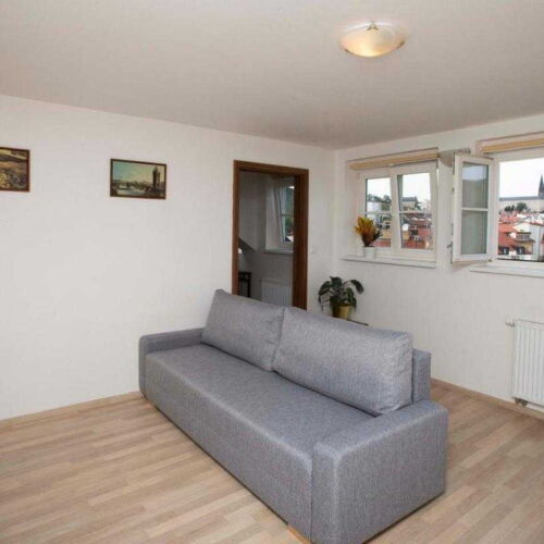 Superior Apartman se sprchou s manželskou postelí s 1 ložnicí