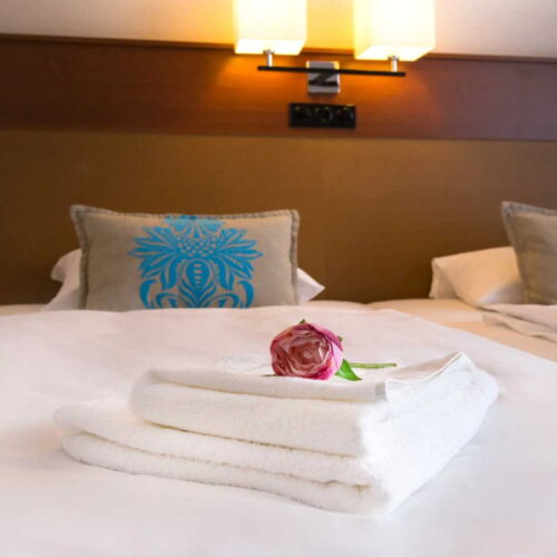 Camera twin cu duș cu balcon