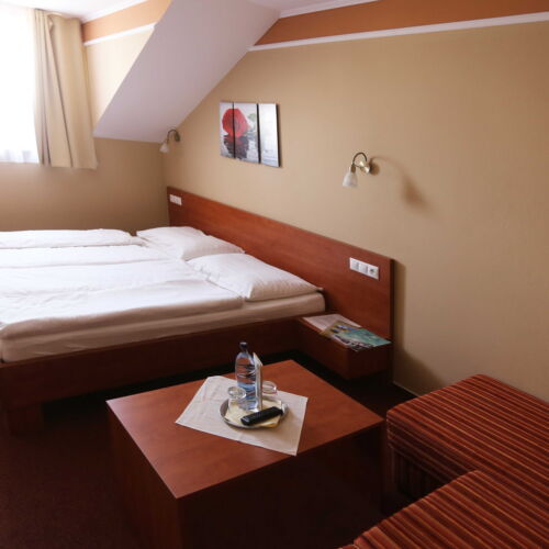 Premium Pokoj se sprchou pro 2 os. (s možností přistýlky)