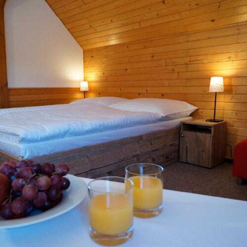 Pokoj se sprchou  pro 4 os. (s možností přistýlky)