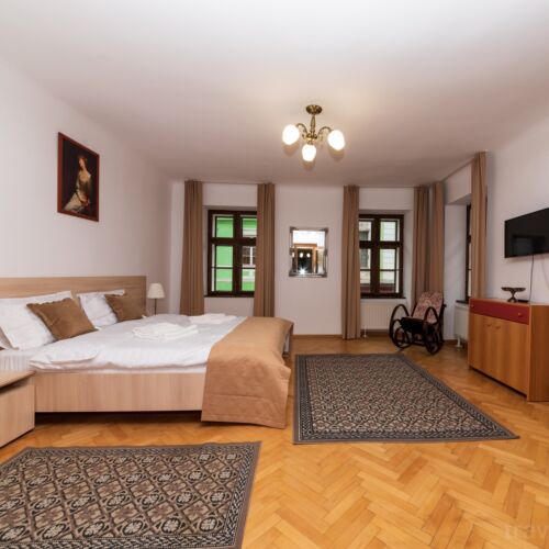 Apartament family cu 1 camera pentru 4 pers. (se poate solicita pat suplimentar)