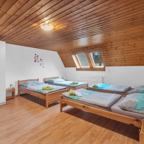 Quadruple Room with Shower (extra bed available)
