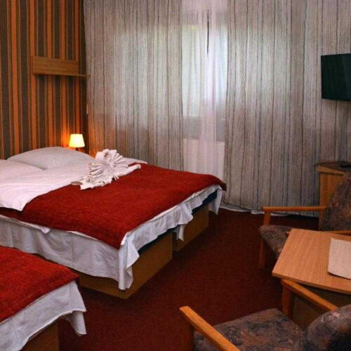 Pokoj se sprchou  pro 3 os.