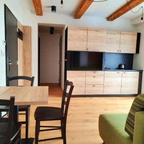 Pokoj se sprchou s vlastní kuchyňkou s manželskou postelí