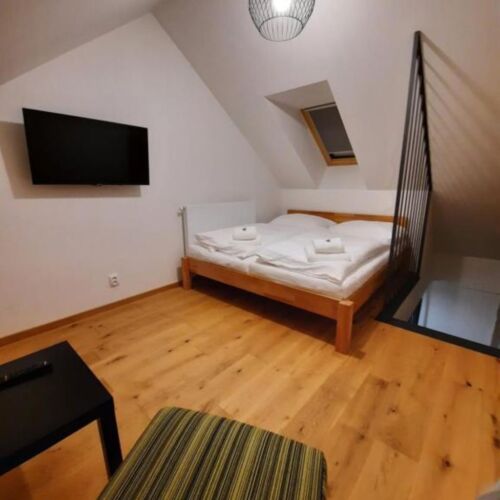 Studio Apartman se sprchou s manželskou postelí s 1 ložnicí