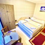 Comfort 1-Room Apartment for 3 Persons