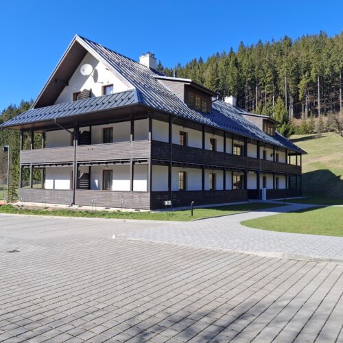 1-Room Apartment for 2 Persons with Shower and Kitchenette (extra beds available)