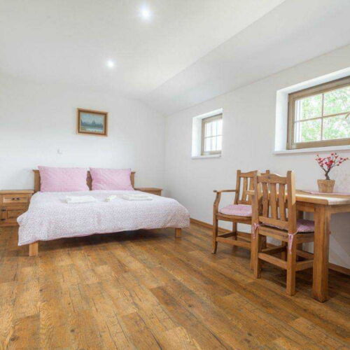 Camera tripla cu duș