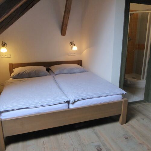 Pokoj se sprchou  s manželskou postelí