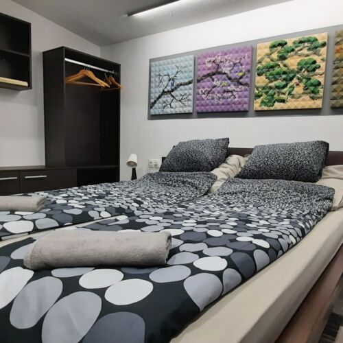 Apartament art întreaga unitate pentru 8 pers. (se inchirieaza doar integral)