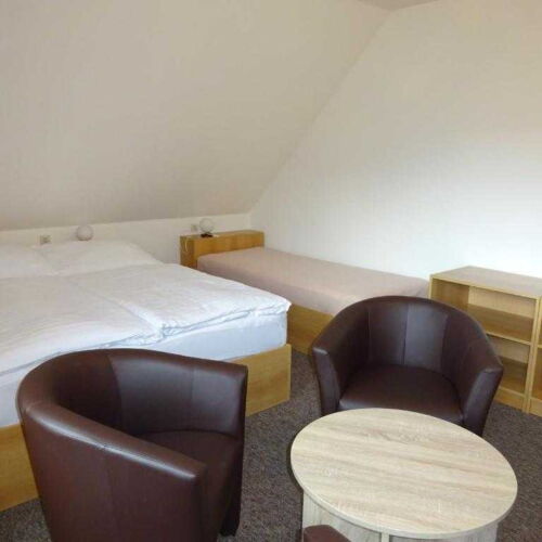 Camera tripla cu duș