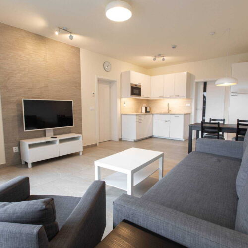 Presidential Apartman s vlastní kuchyňkou s manželskou postelí s 1 ložnicí (s možností přistýlky)