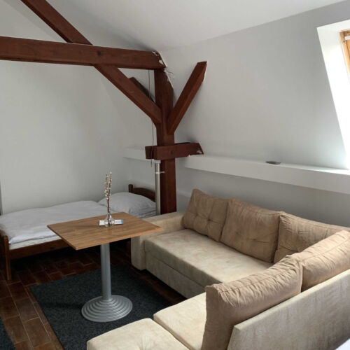 Pokoj se sprchou  pro 2 os. (s možností přistýlky)