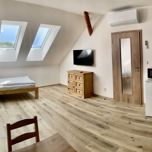 Pokoj se sprchou s vlastní kuchyňkou pro 4 os.