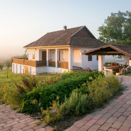 Mountain View Twin Room with Terrace (extra bed available)