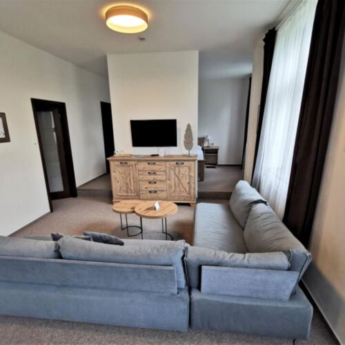 Grand 1-Room Apartment for 2 Persons with Shower (extra bed available)