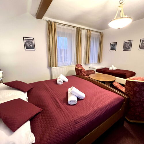 Pokój 2-osobowy Family (możliwa dostawka)