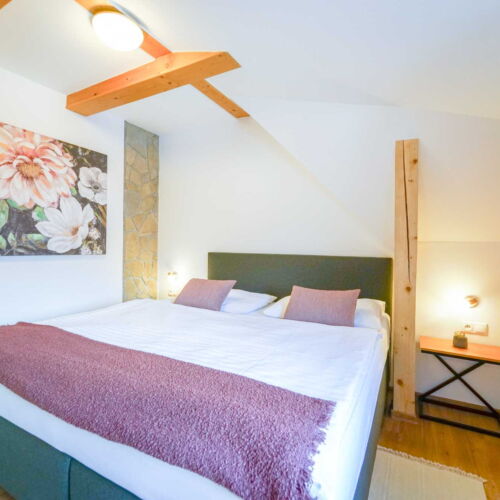 Pokój 2-osobowy Junior z prysznicem