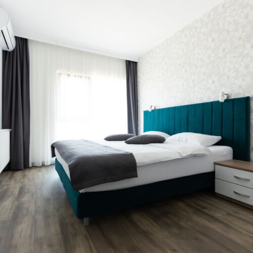 Camera dubla standard