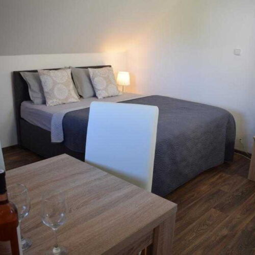 Economy Pokoj se sprchou pro 2 os.