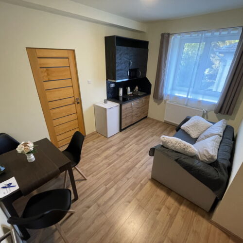 Apartament 2-osobowy z własną kuchnią z 1 pomieszczeniem sypialnianym (możliwa dostawka)
