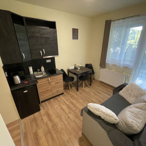 Apartament 2-osobowy z balkonem z panoramą z 1 pomieszczeniem sypialnianym (możliwa dostawka)