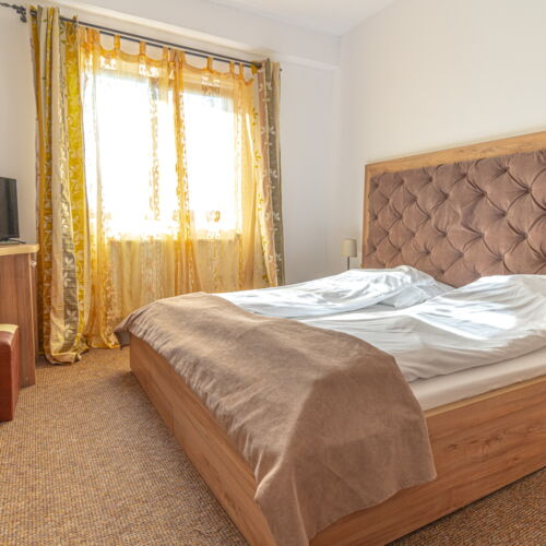 Camera dubla standard