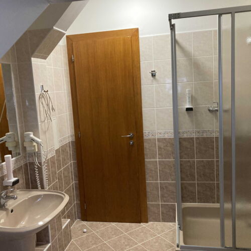 Economy Pokoj se sprchou s manželskou postelí