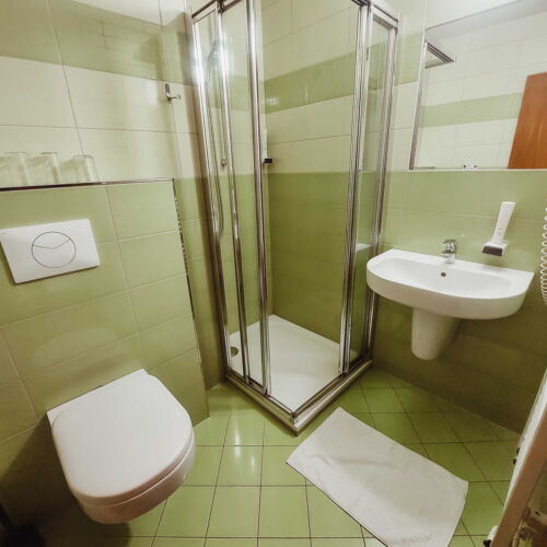 Economy Pokoj se sprchou pro 3 os.