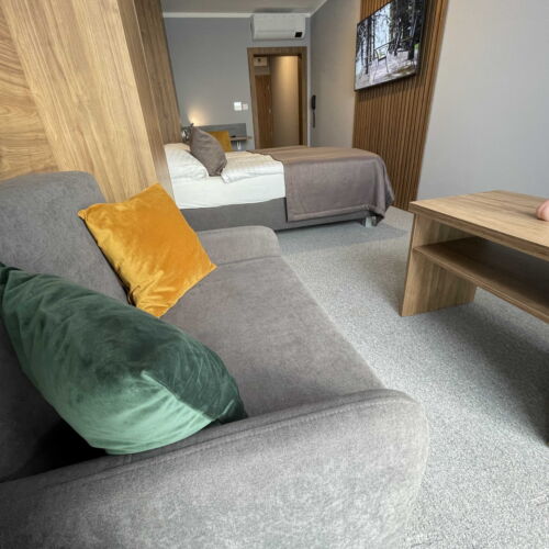 Camera twin cu duș cu aer condiționat (se poate solicita pat suplimentar)