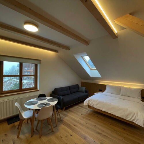 Studio Apartman se sprchou s manželskou postelí s 1 ložnicí (s možností přistýlky)