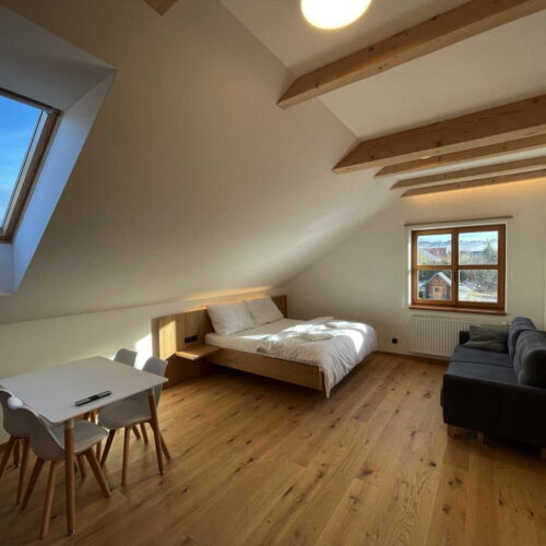 Studio Apartman se sprchou s manželskou postelí s 1 ložnicí (s možností přistýlky)