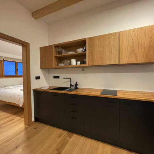 Apartman se sprchou s vlastní kuchyňkou s manželskou postelí s 1 ložnicí (s možností přistýlky)