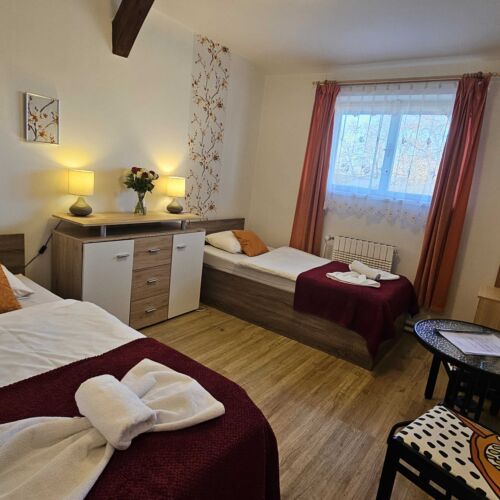 Economy Pokoj se sprchou pro 2 os.