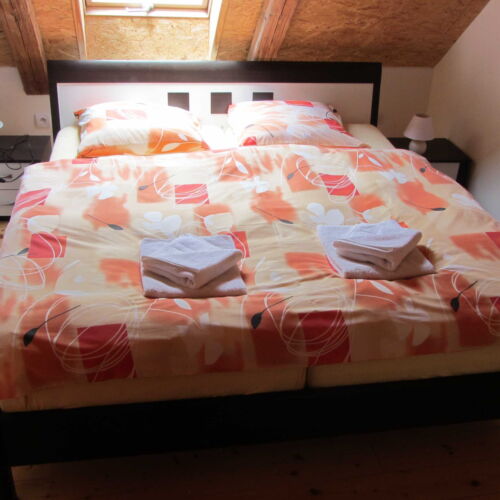 Apartament cu duș cu chicinetă proprie pentru 2 pers. (se poate solicita pat suplimentar)