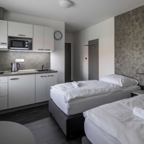 Pokoj se sprchou s privátní koupelnou mimo apartmán pro 2 os.