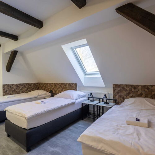 Pokoj se sprchou s privátní koupelnou mimo apartmán pro 3 os.