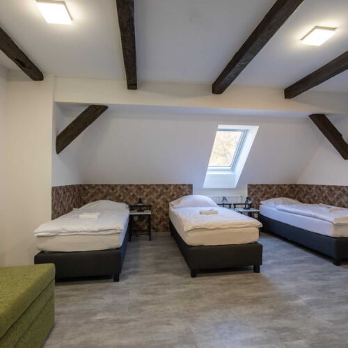 Pokoj se sprchou s privátní koupelnou mimo apartmán pro 3 os. (s možností přistýlky)