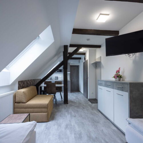 Pokoj se sprchou s privátní koupelnou mimo apartmán pro 2 os. (s možností přistýlky)