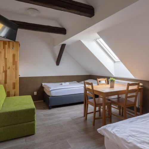 Economy Pokoj se sprchou pro 2 os. (s možností přistýlky)